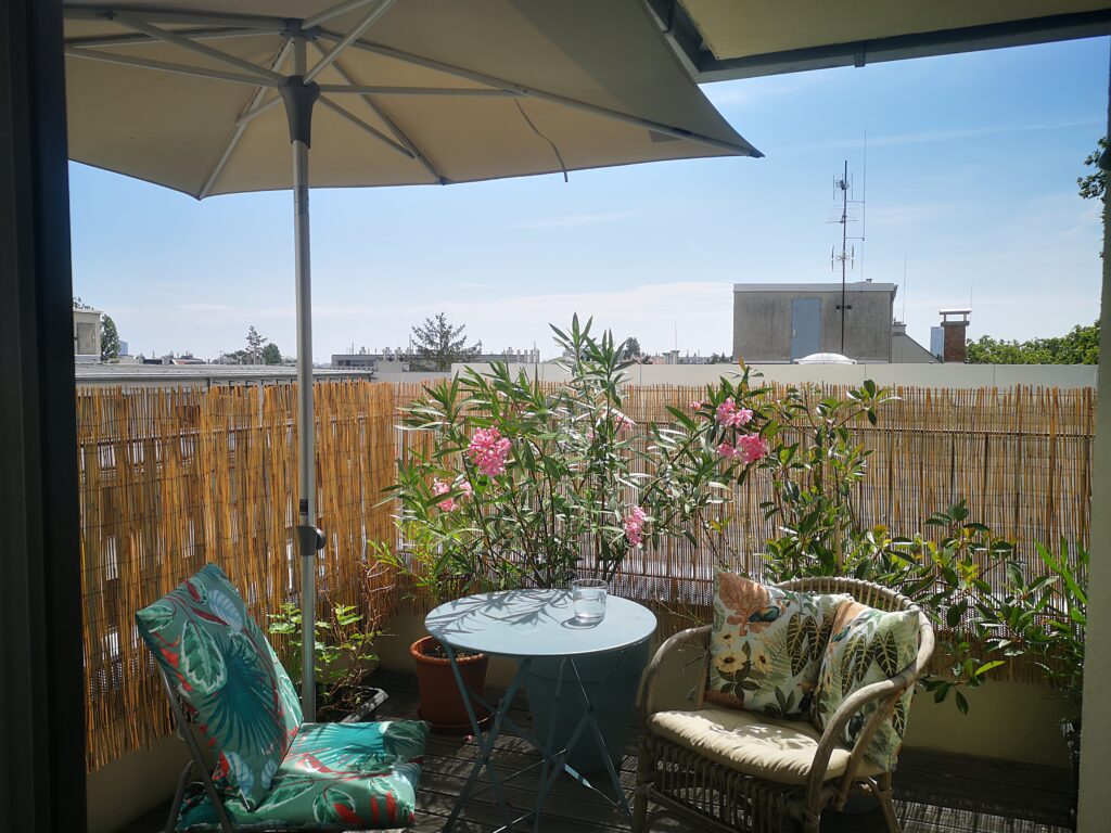 Dachterrasse Detail, Oleander