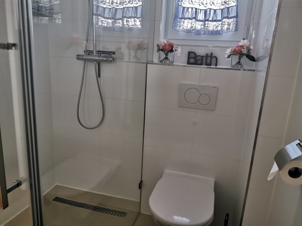 Dusche und WC im Bad